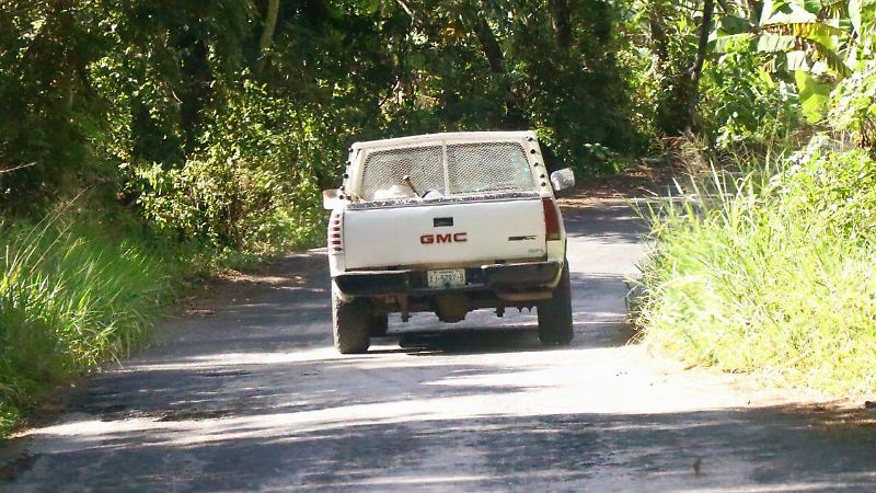 Carretera Palmar Estación-Palmarejo en malas condiciones